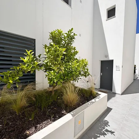 Apartment Dream Duplex *