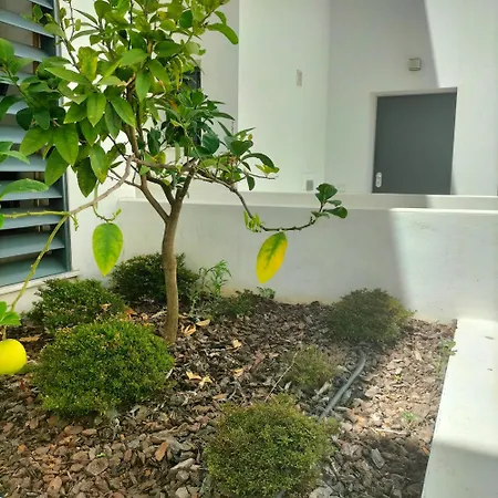 Dream Duplex *